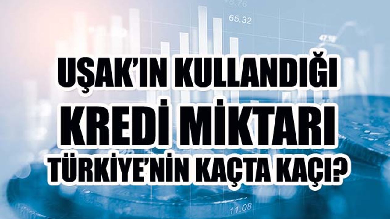 Uşak, kredide İstanbul'un yüzde 2,5'i kadar dahi değil