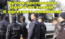 Bylock operasyonu Uşak'a da sıçradı, 6 öğretmen tutuklandı