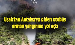 Uşak'tan Antalya'ya giden otobüs orman yangınına yol açtı