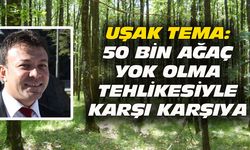 TEMA: Uşak'taki 50 bin ağaç yok olma tehlikesinde