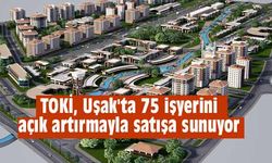 TOKİ , Uşak'ta 75 işyerini açık artırmayla satışa sunuyor