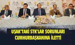 Uşak'taki STK temsilcileri toplumsal sorunları Cumhurbaşkanına iletti