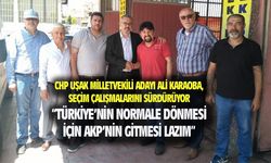 Ali Karaoba: Türkiye'nin normalleşmesi için bu iktidarın gitmesi lazım