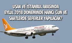 Uşak ve İstanbul arası Eylül 2018 uçuş günleri belli oldu