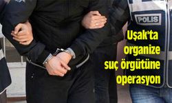 Uşak'ta organize suç örgütüne operasyon