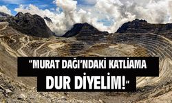 'Gelin Murat Dağı'ndaki katliama dur diyelim'