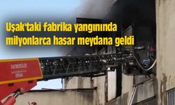 Uşak'taki fabrika yangınında milyonlarca hasar meydana geldi