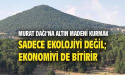 Murat Dağı'na altın madeni kurmak, sadece ekolojiyi değil; ekonomiyi de bitirir