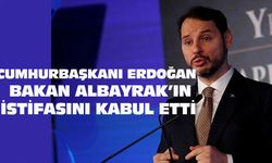 Cumhurbaşkanı Recep Tayyip Erdoğan, Ekonomi ve Maliye Bakanı Berat Albayrak'ın istifasını kabul etti