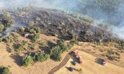 Uşak Gögem'de 15 hektarlık orman yandı