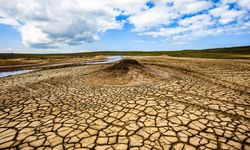 Geleceğin En Büyük İki Sorunu: İklim Krizi ve Kuraklık