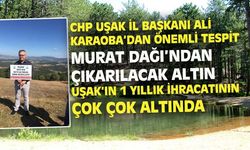 Murat Dağı'na yapılacak altın madeninin toplam getirisi, Uşak'ın 1 yıllık ihracatı kadar dahi değil!