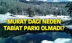 Murat Dağı neden tabikat parkı ilan edilmiyor!