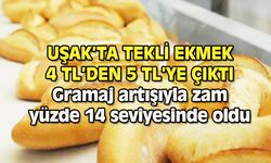 Uşak'ta ekmeğin gramı ve fiyatı arttı: Tekli ekmek 5 TL!