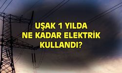 Uşak 1 yılda ne kadar elektrik kullandı?