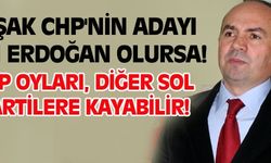 Ali Erdoğan, CHP adayı olursa!