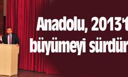 Anadolu, 2013'te büyümeyi sürdürdü