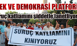  Emek ve Demokrasi Platformu; “Suruç Katliamını şiddetle lanetliyoruz”