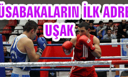  Türkiye Büyükler Boks Şampiyonası 