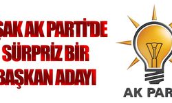 Uşak AK Parti'de sürpriz aday!