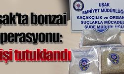 Uşak'ta bonzai operasyonu: 4 kişi tutuklandı