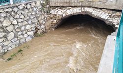 Dokuzsele'nin suyu, Çınar'daki köprüde yoğunlaştı ve taşma riski oluştu!