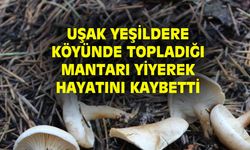 Uşak Yeşildere köyünde topladığı zehirli mantarı yiyip hayatını kaybetti