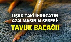 Uşak’ta ihracatın azalmasının temel sebebi tavuk bacağı!