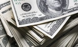 Ünlü ekonomist Selçuk Geçer, dolar için 100 TL tahmini yaptı