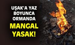 Uşak'ta ormanlık alanlarda ateş yakıp mangal yapmak yasak