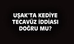 Uşak'ta kediye tecavüz iddiası doğru mu?