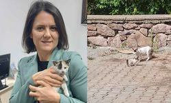 Uşak Belediye Başkan Yardımcısı Meral Saçar, minik kedi ve annesini kavuşturdu