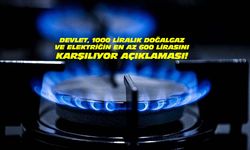 Uşak, Kütahya ve diğer illerdeki 1000 liralık doğalgazın en az 600 TL'sini devlet veriyor!