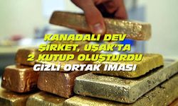 Kanadalı dünya devinin davası, Uşak'ta 2 kutup oluşturdu! Gizli ortak iddiası!