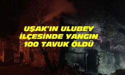 Ulubey Büyükkayalı'da yangın: 100 tavuk telef oldu