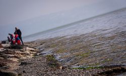 Bostanlı sahili yosunlar içinde kaldı