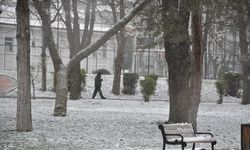 Uşak, Kütahya, Eskişehir ve Afyonkarahisar'da baharın başlangıcı hava nasıl olacak?