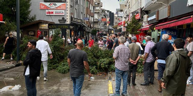 Uşak'ta yağmur ve fırtına nedeniyle çarşı içindeki ağaç devrildi