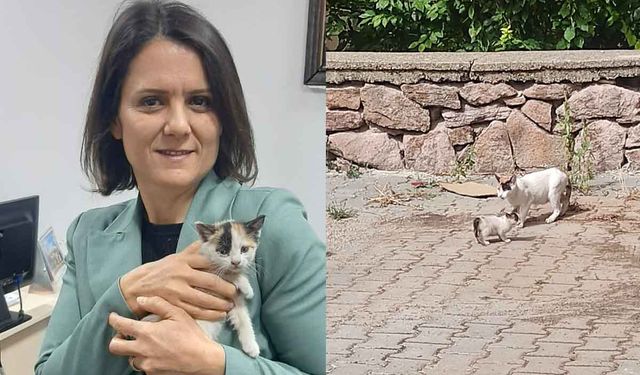 Uşak Belediye Başkan Yardımcısı Meral Saçar, minik kedi ve annesini kavuşturdu