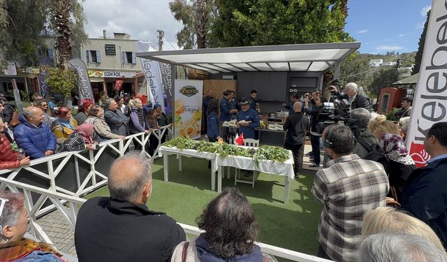 Bodrum'un damakta aromatik lezzet bırakan otları tanıtılıyor