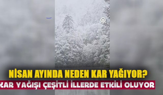 Bolu, Kocaeli ve Sakarya gibi illerde kar etkili oluyor! Nisan ayında neden kar yağıyor?