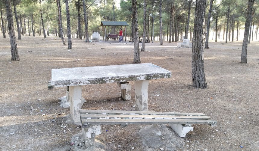 Uşak'ın övündüğü Ulubey Kanyonu piknik alanı dökülüyor