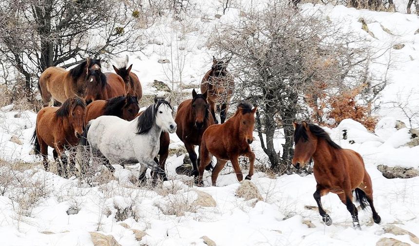 Uşak'ın suyunu korumak için mücadelenin devam edeceğini vurguladı