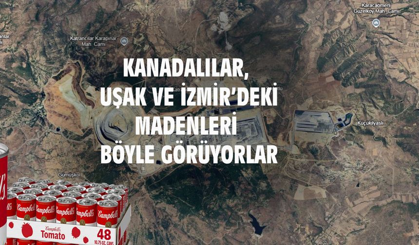 Altın fiyatlarındaki artış Uşak'taki dev çukuru büyüttü! Kanadalı yetkili Efemçukuru madenini domates çorbasına benzetti